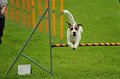 2013-05-19 um 10-56-23